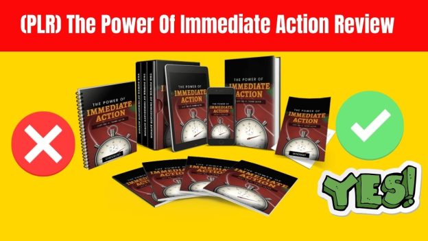 (PLR) The Power Of Immediate Action Review [Yu Shaun et al]