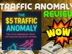 Traffic Anomaly Review